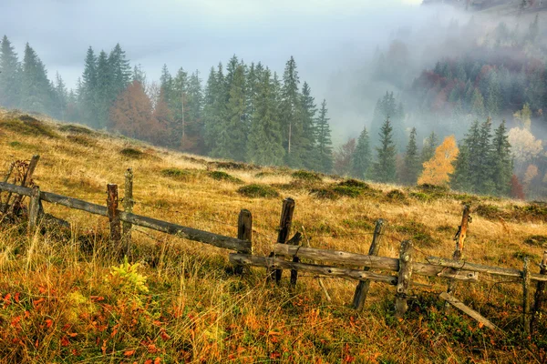 Barevné podzimní krajina v Karpatských horách — Stock fotografie