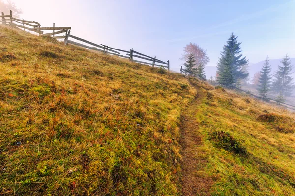 Красочная осенняя пейзажная сцена с забором в Трансильвании — стоковое фото