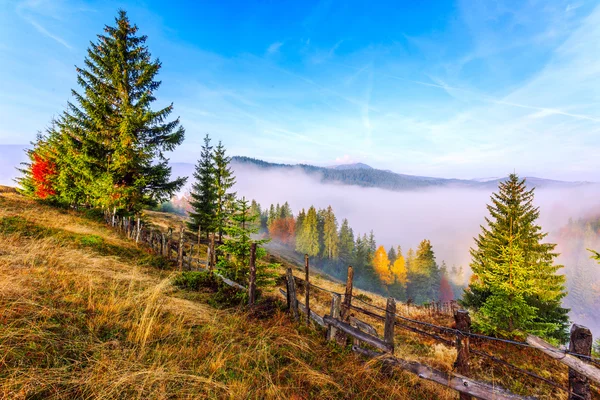 在喀尔巴阡山脉的多彩秋景 — 图库照片