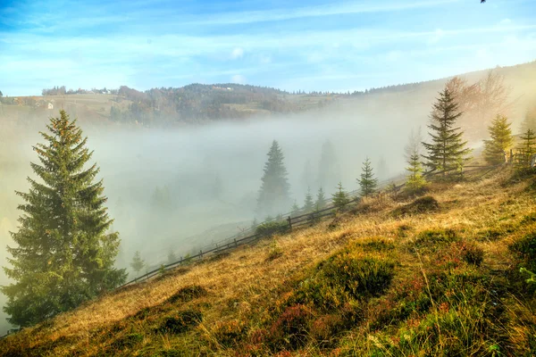 Kolorowy krajobraz jesień w Karpatach — Zdjęcie stockowe