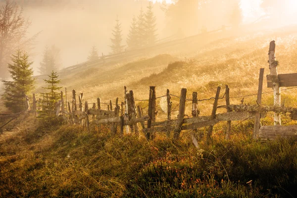 Színes őszi táj, a Kárpát-hegység — Stock Fotó