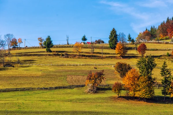 Paesaggio autunnale colorato nelle montagne dei Carpazi — Foto Stock