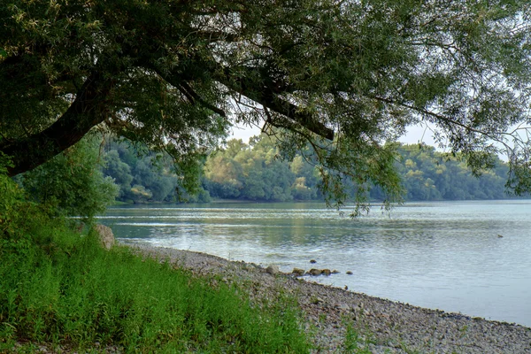 Danube river in Hungary — Stock Photo, Image