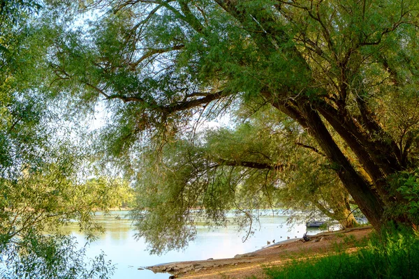 Danube river in Hungary — Stock Photo, Image