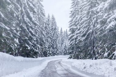 Karlı kış yol Julian Alps için