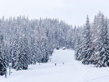 Vogel Kayak Merkezi