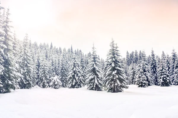 Paisaje invernal cerca del centro de esquí Vogel — Foto de Stock