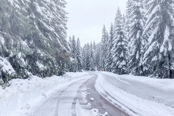 Karlı kış yol Julian Alps için