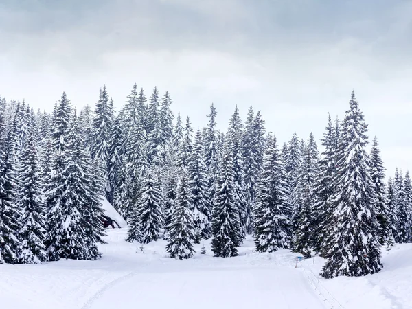 傅高义滑雪中心附近的冬季景观 — 图库照片