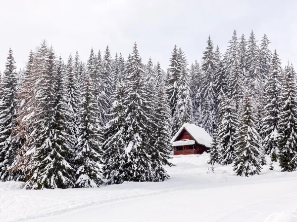 Winter vakantiehuis in Slovenië Alpen — Stockfoto