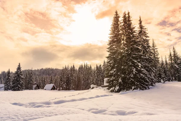 Paesaggio invernale vicino al centro sciistico Vogel — Foto Stock