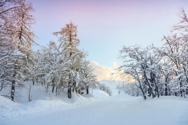 Снежная зимняя дорога в Джулианских Альпах — стоковое фото