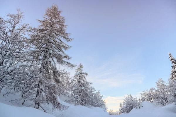 Paesaggio invernale vicino al centro sciistico Vogel — Foto Stock