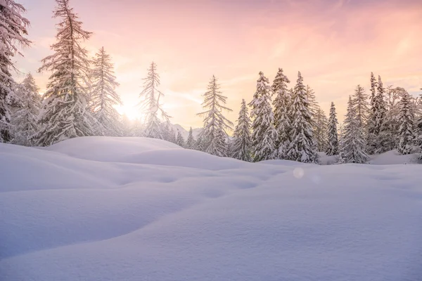 Winterlandschap in de buurt van het skicentrum Vogel — Stockfoto