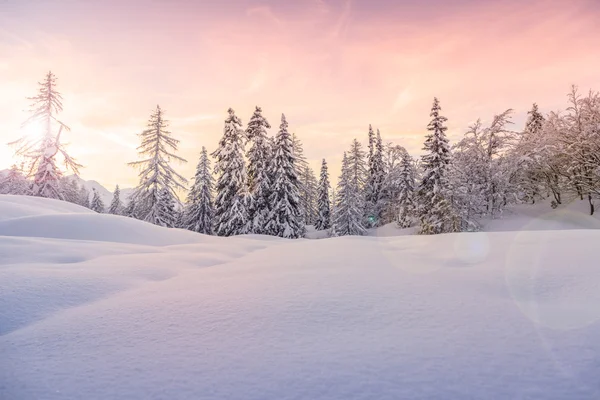 Winterlandschap in de buurt van het skicentrum Vogel — Stockfoto