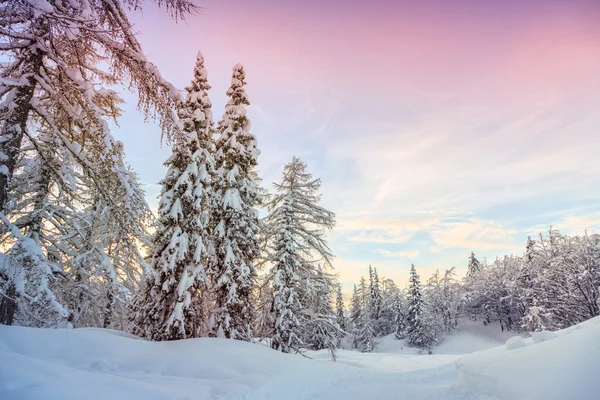 Paesaggio invernale vicino al centro sciistico Vogel — Foto Stock