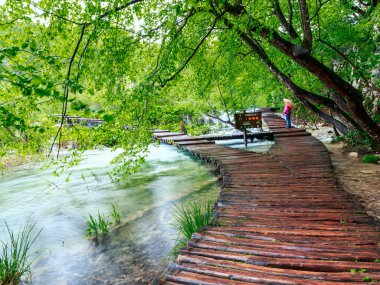 Milli Park Plitvice ahşap yolunda
