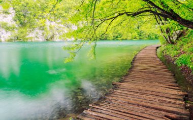 Milli Park Plitvice ahşap yolunda