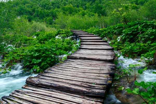 Sentiero in legno nel Parco Nazionale di Plitvice — Foto Stock