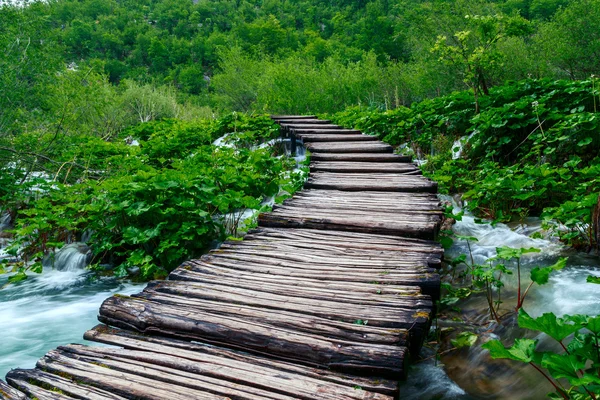 Wooden path in National Park in Plitvice — Stock Photo, Image