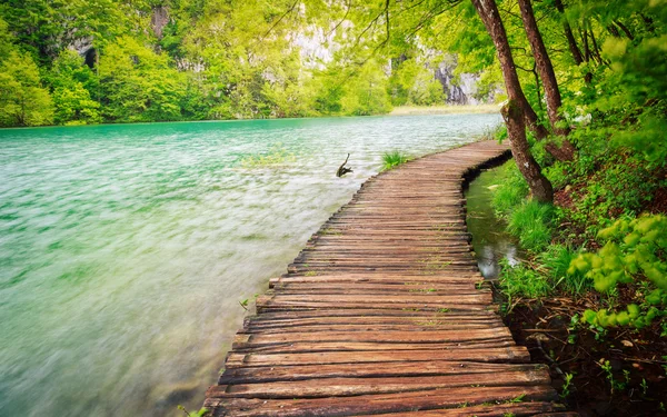 Sendero de madera en el Parque Nacional de Plitvice — Foto de Stock