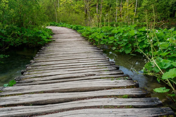 Boardwalk in the park Plitvice lakes — Stock Photo, Image