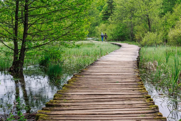 Θαλάσσιο περίπατο στο πάρκο λιμνών Plitvice — Φωτογραφία Αρχείου