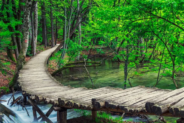 Sendero de madera en el Parque Nacional de Plitvice — Foto de Stock