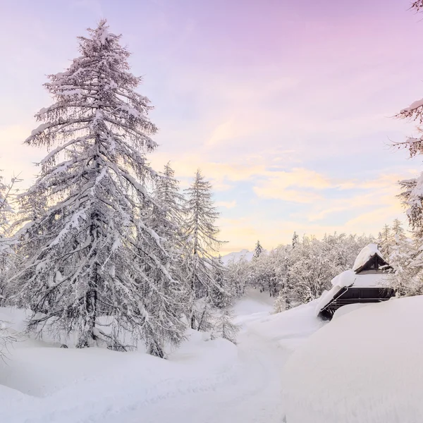 Winter landscape in mountains Julian Alps — Stock Photo, Image