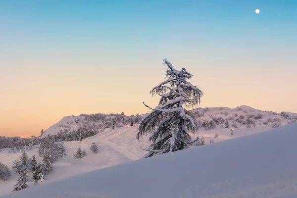 Magische zonsondergang winter in Julian Alpen bergen — Stockfoto
