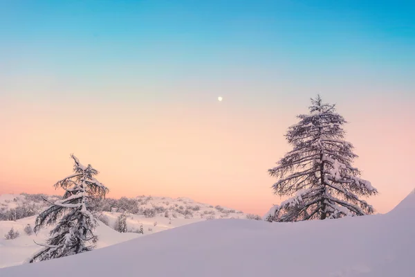 Magical sunset winter in Julian Alps mountains — Stock Photo, Image
