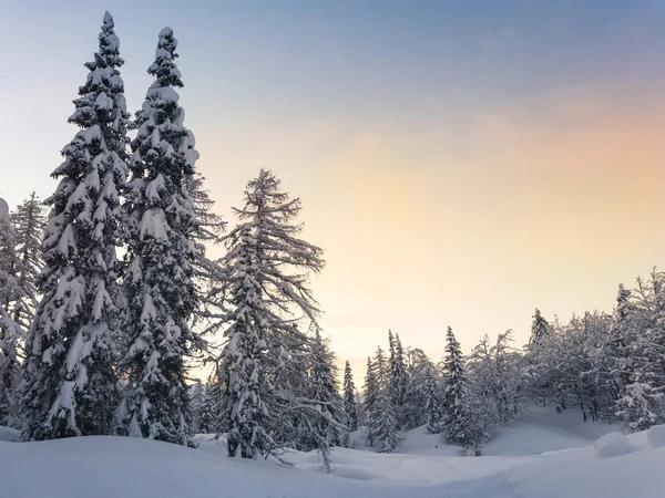 Julian Alps dağlarda kış orman — Stok fotoğraf