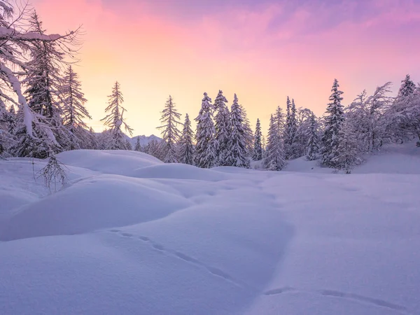 Beautiful winter landscape with snow covered trees — Stock Photo, Image