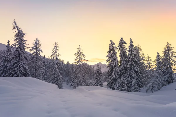 Karla kaplı ağaçlarla kaplı güzel kış manzarası — Stok fotoğraf