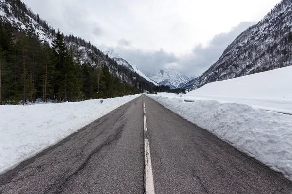 曇った冬の日に空山の道 — ストック写真