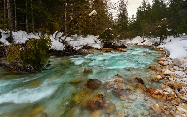 Rio de montanha no tempo de inverno — Fotografia de Stock