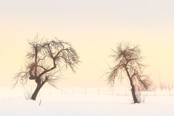 Simple, minimal winter landscape in Slovenia — Stock Photo, Image