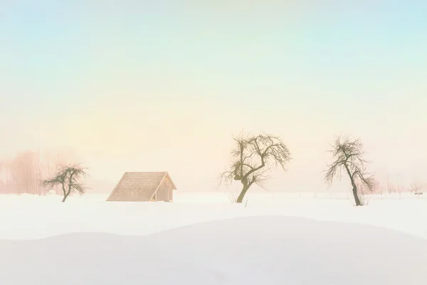 Einfache, minimale Winterlandschaft in Slowenien — Stockfoto