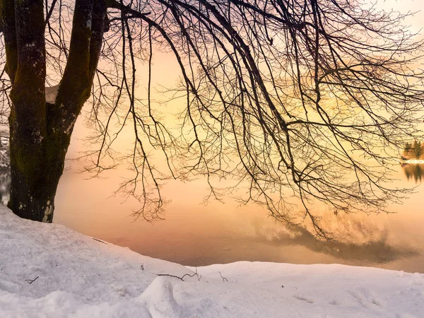 Hora de inverno no lago Bohinj-Eslovênia — Fotografia de Stock