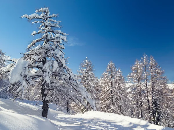 Kış manzara yakınındaki dağlarda Julian Alps Vogel Kayak Merkezi — Stok fotoğraf