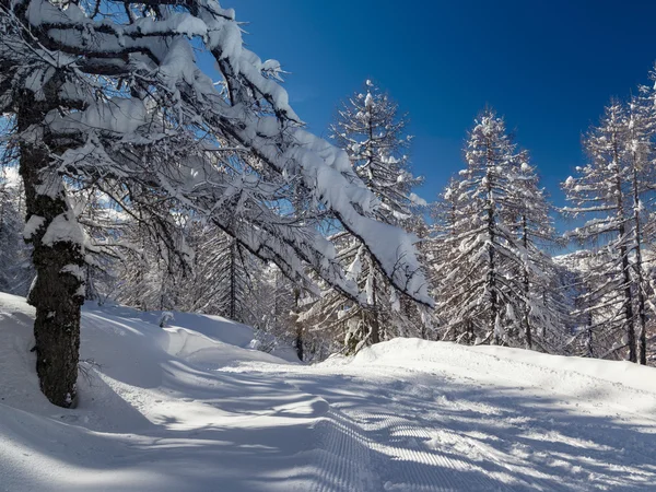 Winterlandschap in de buurt van het skicentrum Vogel in Bergen Julian Alpen — Stockfoto