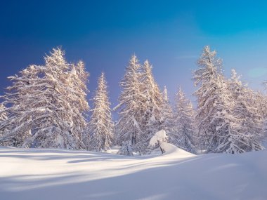 Kış manzara yakınındaki dağlarda Julian Alps Vogel Kayak Merkezi