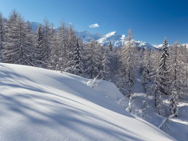 Julian Alps dağlarda kış orman