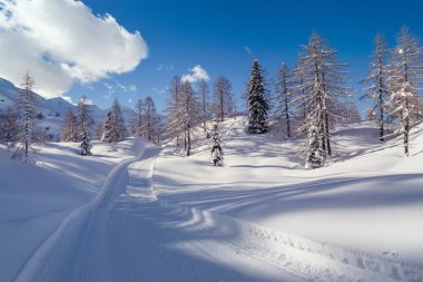 Karlı kış yol Julian Alps için
