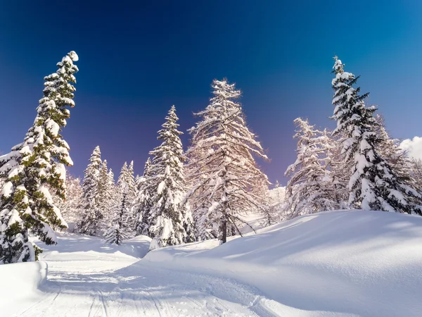 Winter landscape near Vogel ski center in mountains Julian Alps — Stock Photo, Image