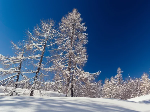 Winter landscape near Vogel ski center in mountains Julian Alps — Stock Photo, Image