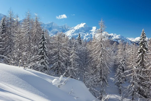 Winterlandschap in de buurt van het skicentrum Vogel in Bergen Julian Alpen — Stockfoto