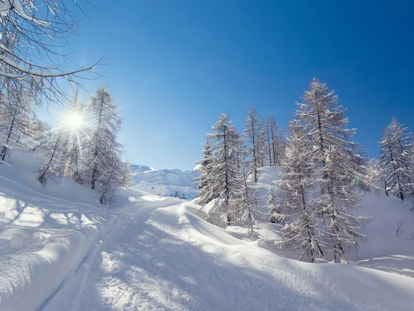 Winterlandschap in de buurt van het skicentrum Vogel in Bergen Julian Alpen — Stockfoto