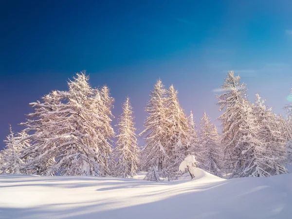Winter landscape near Vogel ski center in mountains Julian Alps — Stock Photo, Image