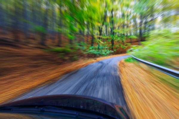 Car driving fast into forest — Stock Photo, Image